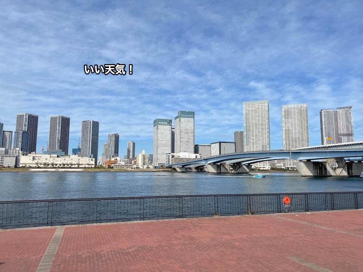 f:id:chikojirou:20211107205932j:plain