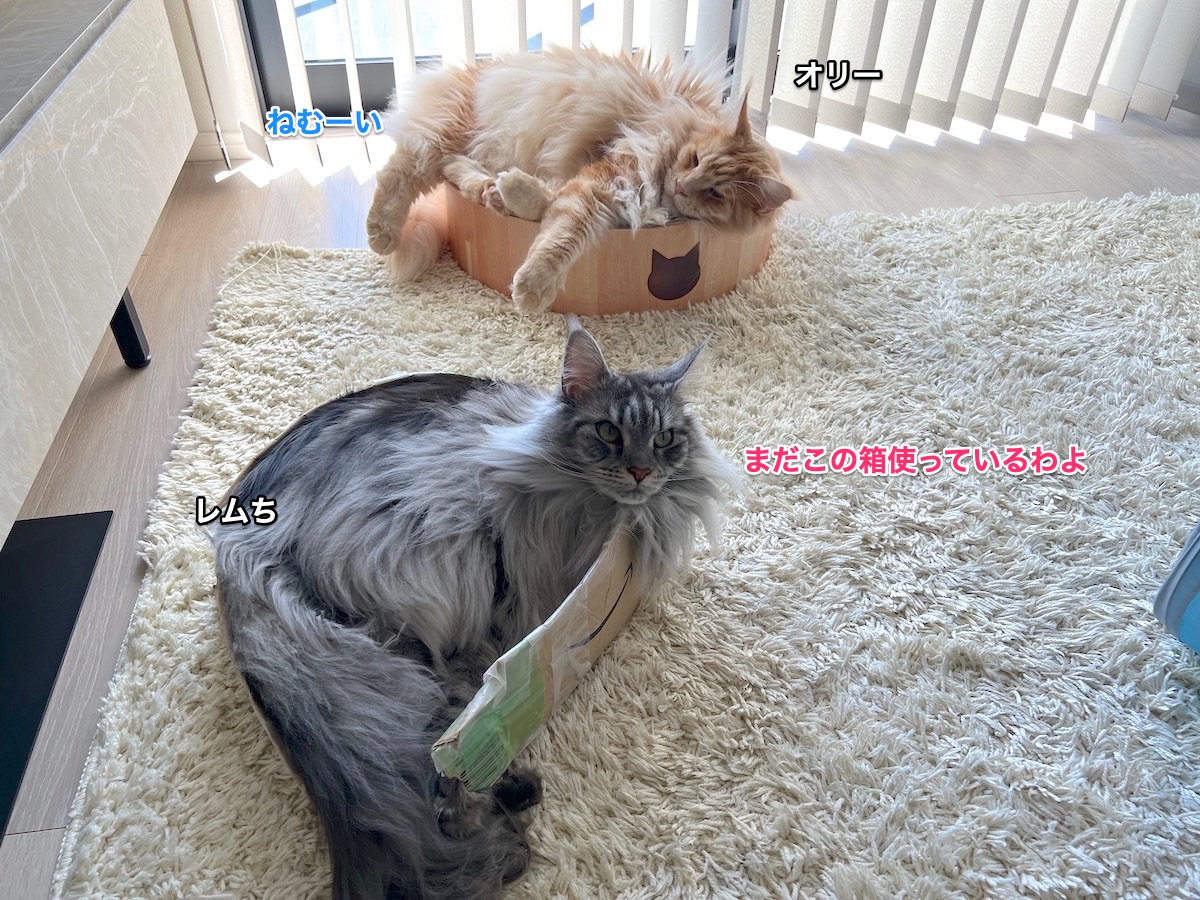 f:id:chikojirou:20211110213555j:plain