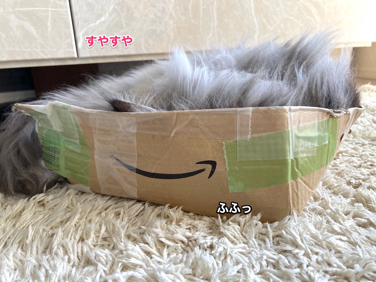 f:id:chikojirou:20211110213558j:plain