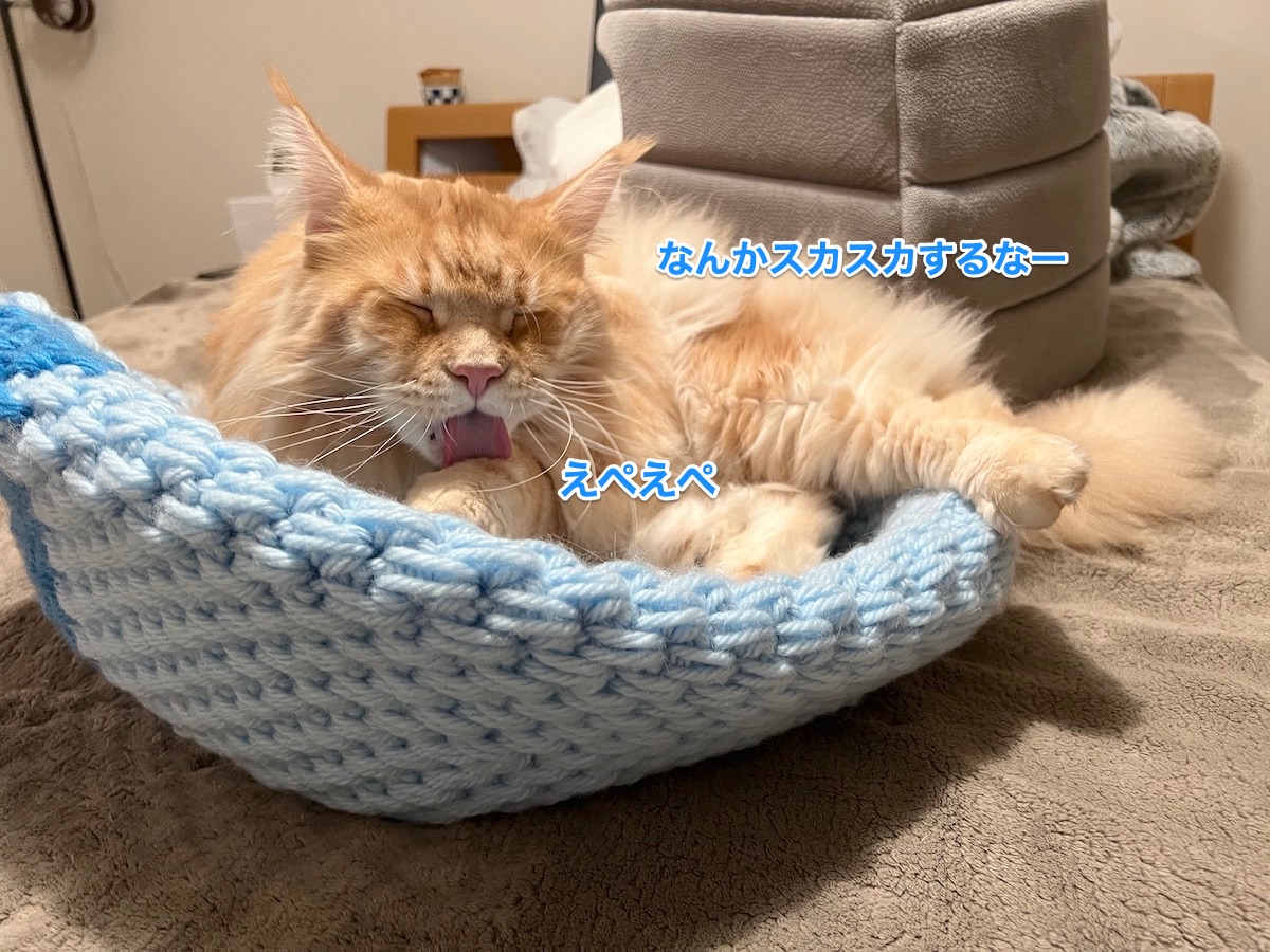 f:id:chikojirou:20211110213611j:plain