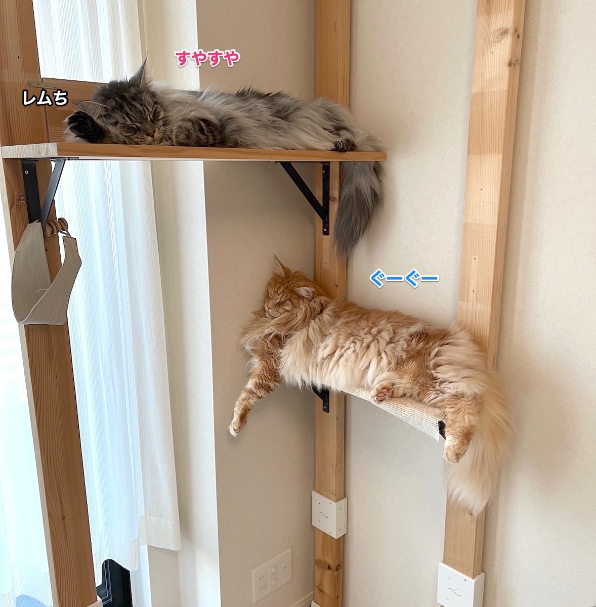 f:id:chikojirou:20211111210324j:plain