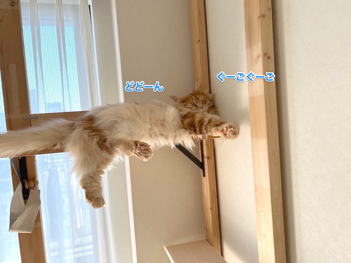 f:id:chikojirou:20211111210333j:plain