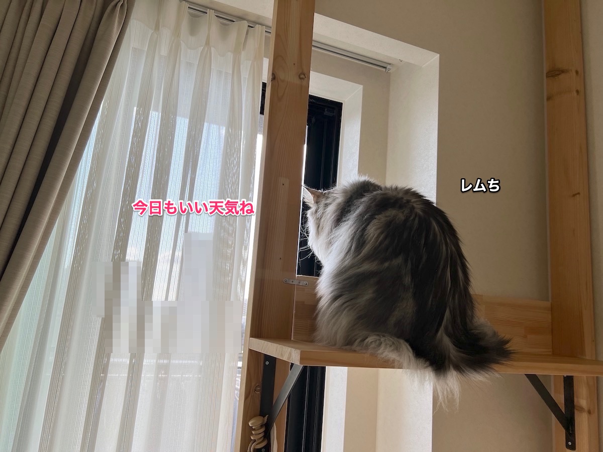 f:id:chikojirou:20211115213958j:plain