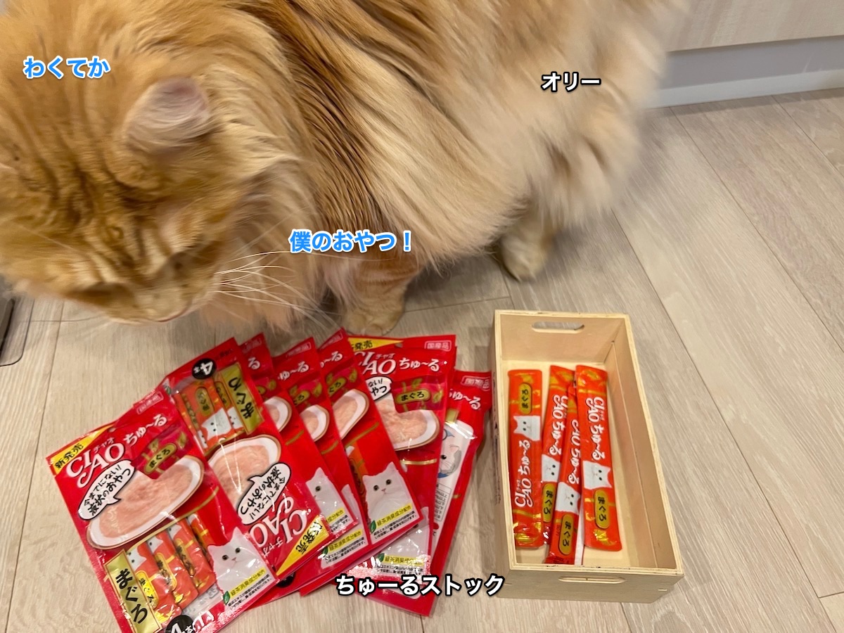f:id:chikojirou:20211115214007j:plain