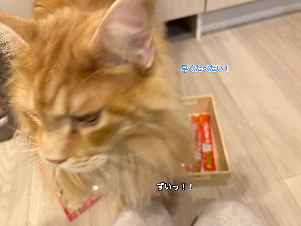 f:id:chikojirou:20211115214010j:plain