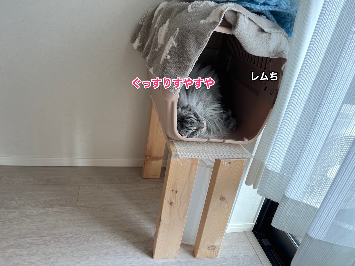 f:id:chikojirou:20211120205744j:plain