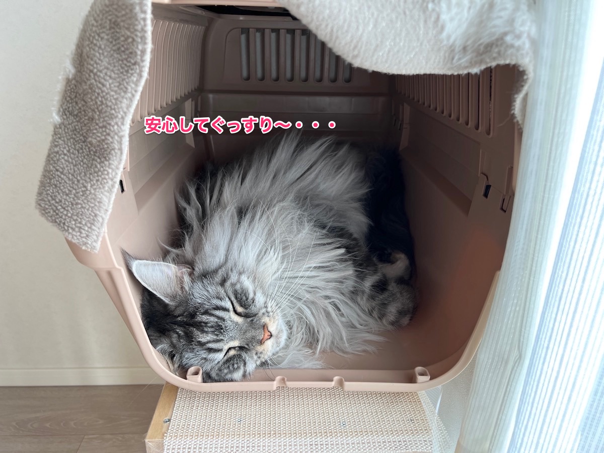 f:id:chikojirou:20211120205747j:plain