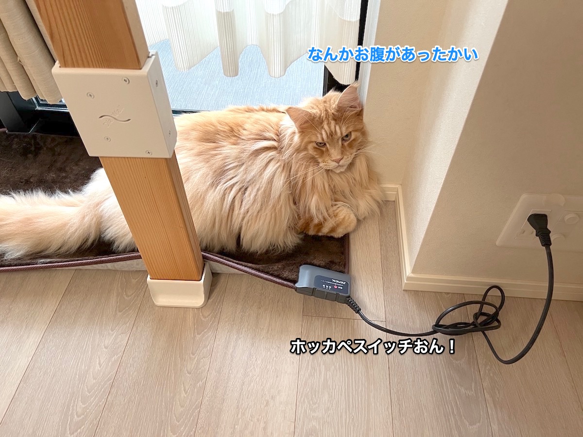 f:id:chikojirou:20211122214420j:plain