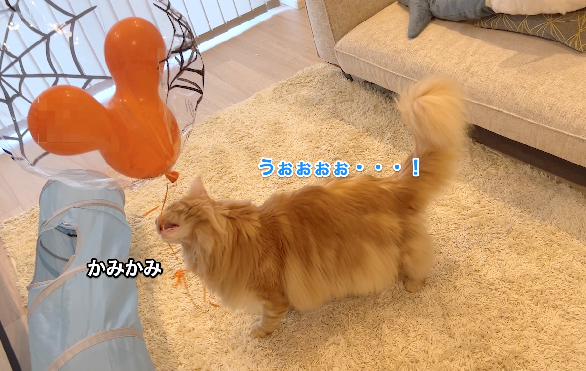 f:id:chikojirou:20211122214425j:plain