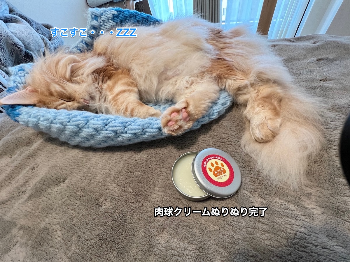 f:id:chikojirou:20211128212750j:plain