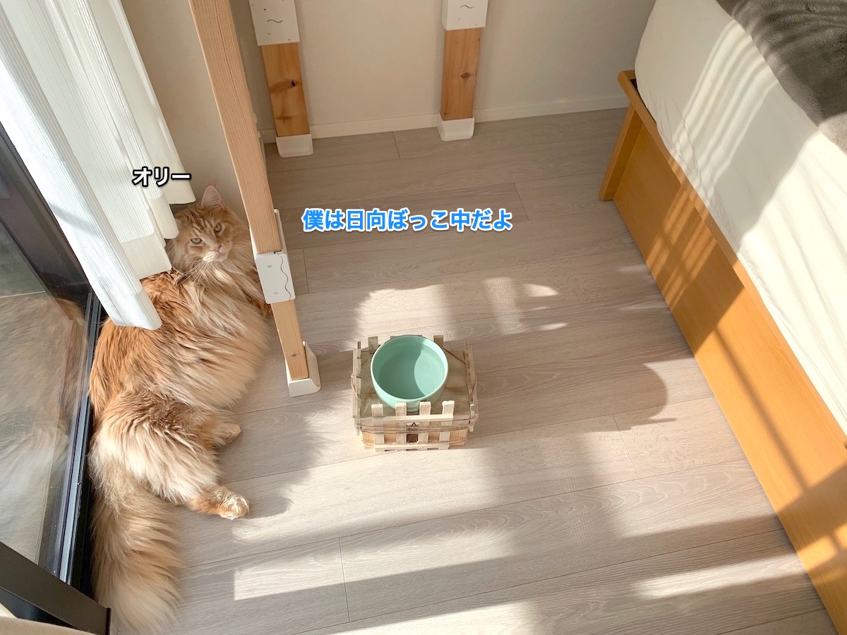 f:id:chikojirou:20211130215841j:plain