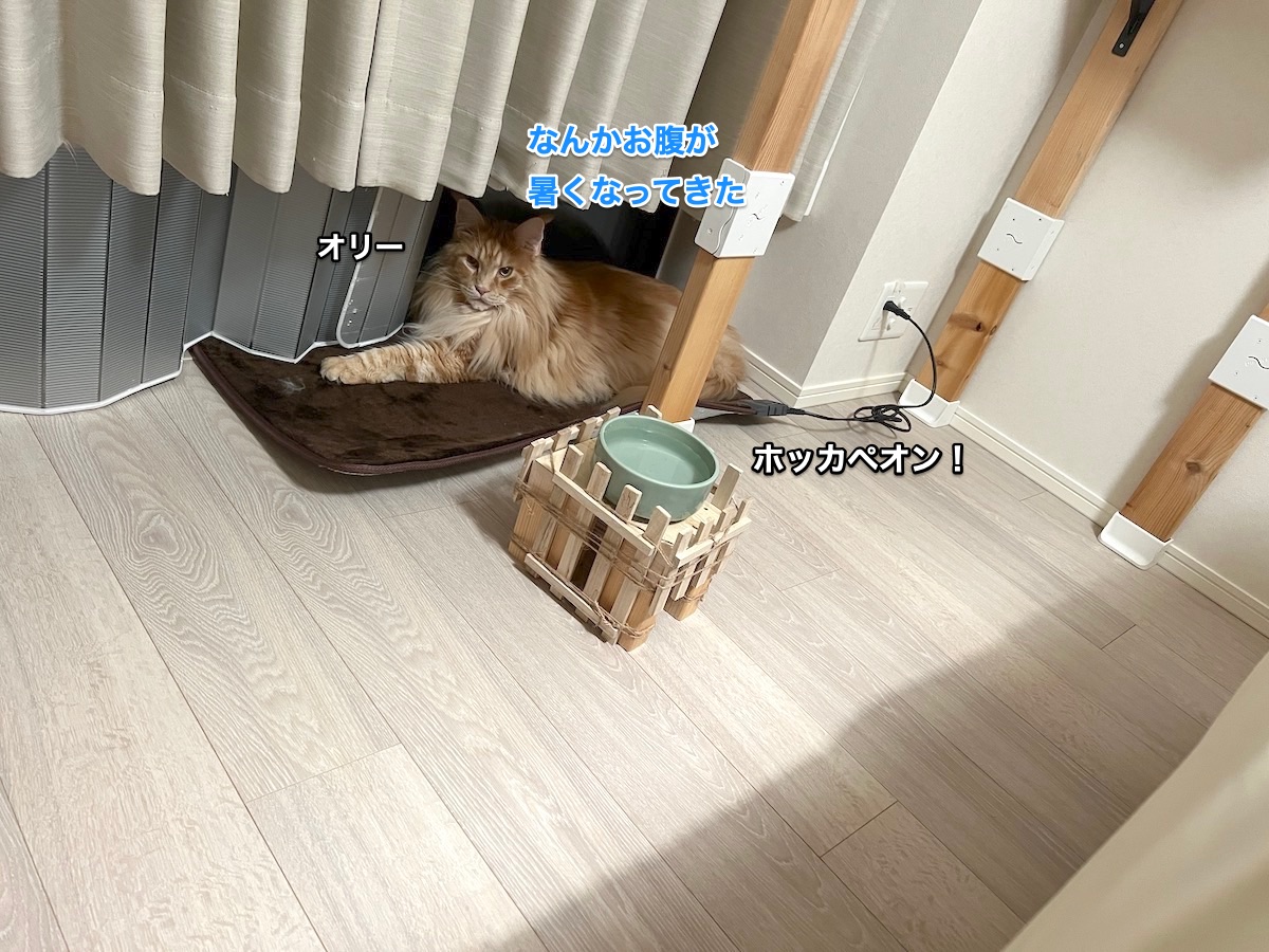 f:id:chikojirou:20211203223710j:plain
