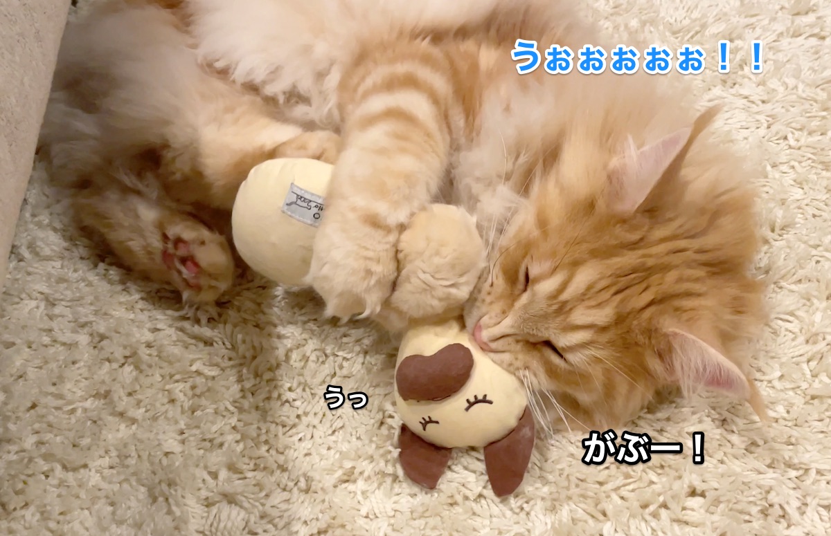 f:id:chikojirou:20211205221928j:plain