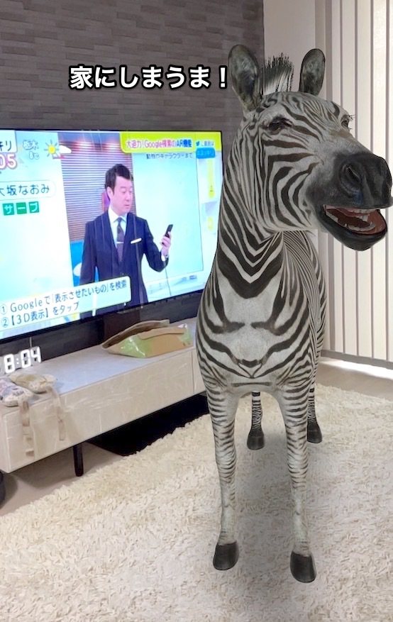 f:id:chikojirou:20211214214957j:plain