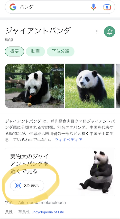 f:id:chikojirou:20211214215007j:plain