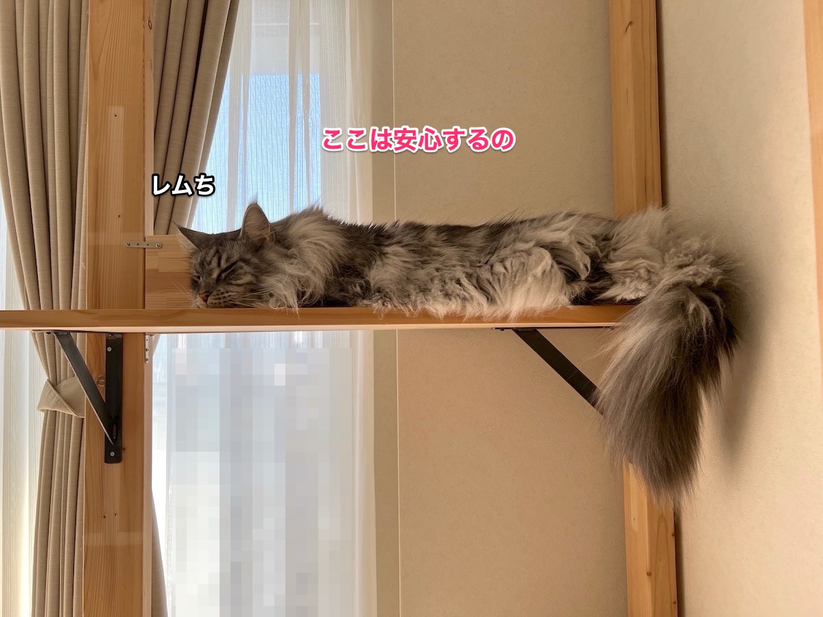 f:id:chikojirou:20211220213954j:plain