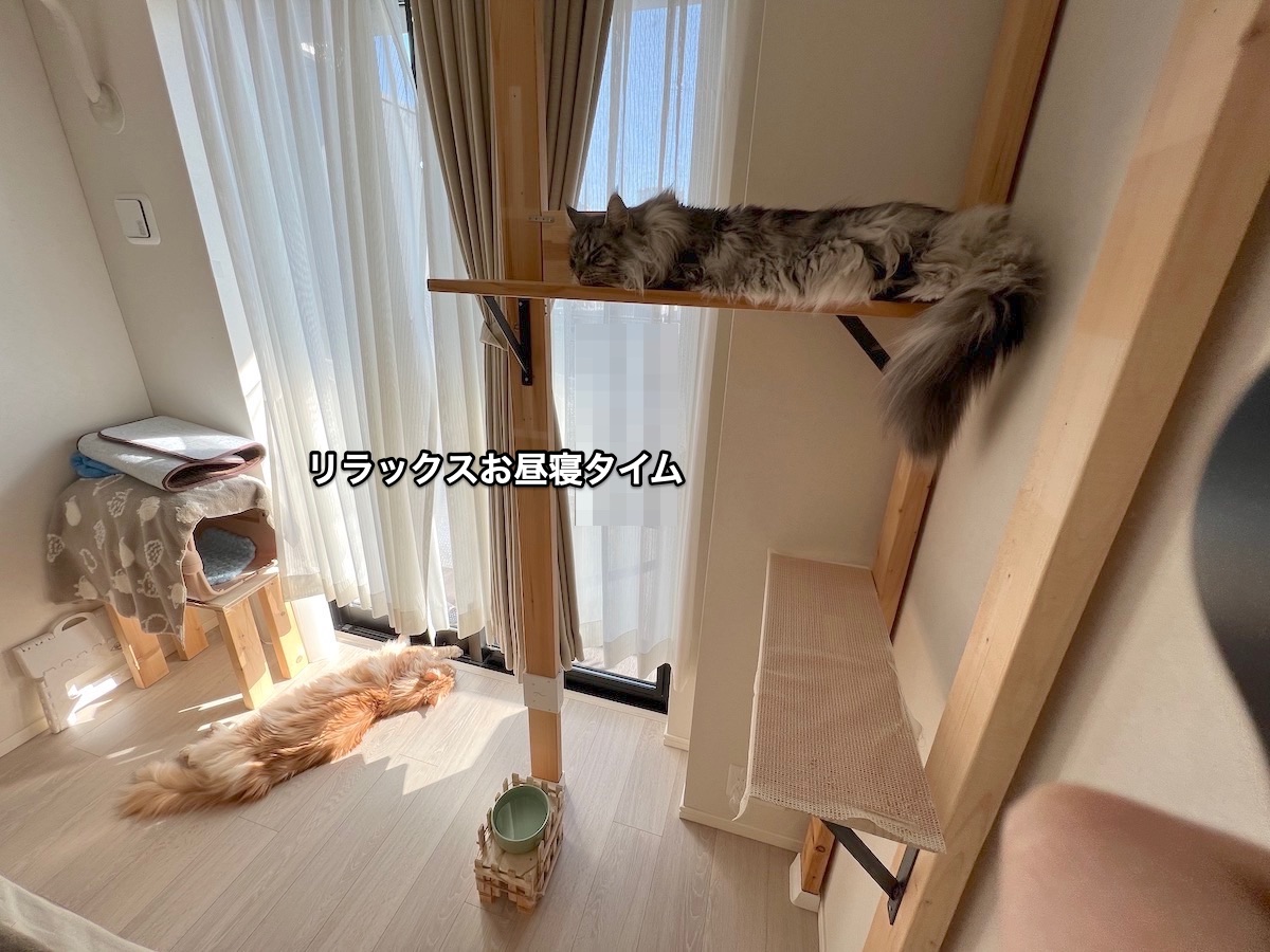 f:id:chikojirou:20211220213957j:plain