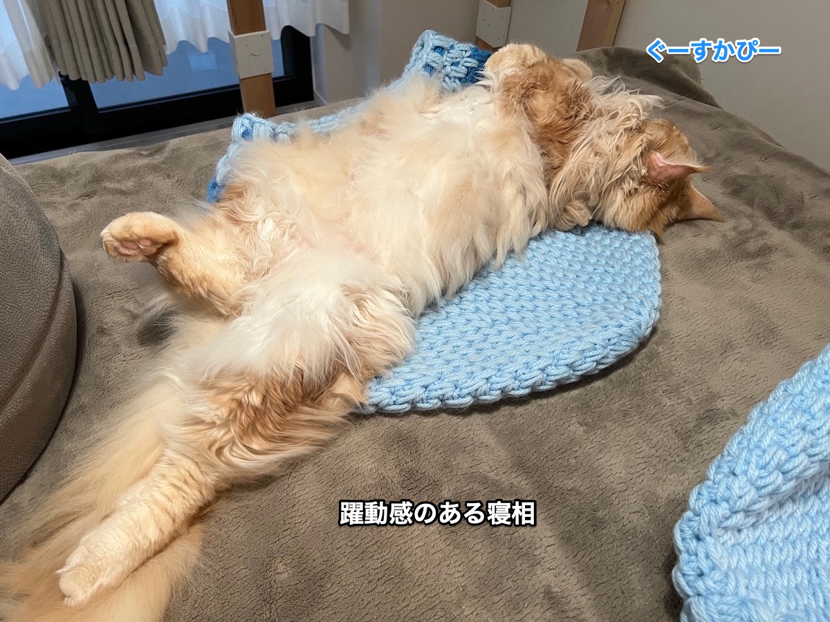 f:id:chikojirou:20211220214003j:plain