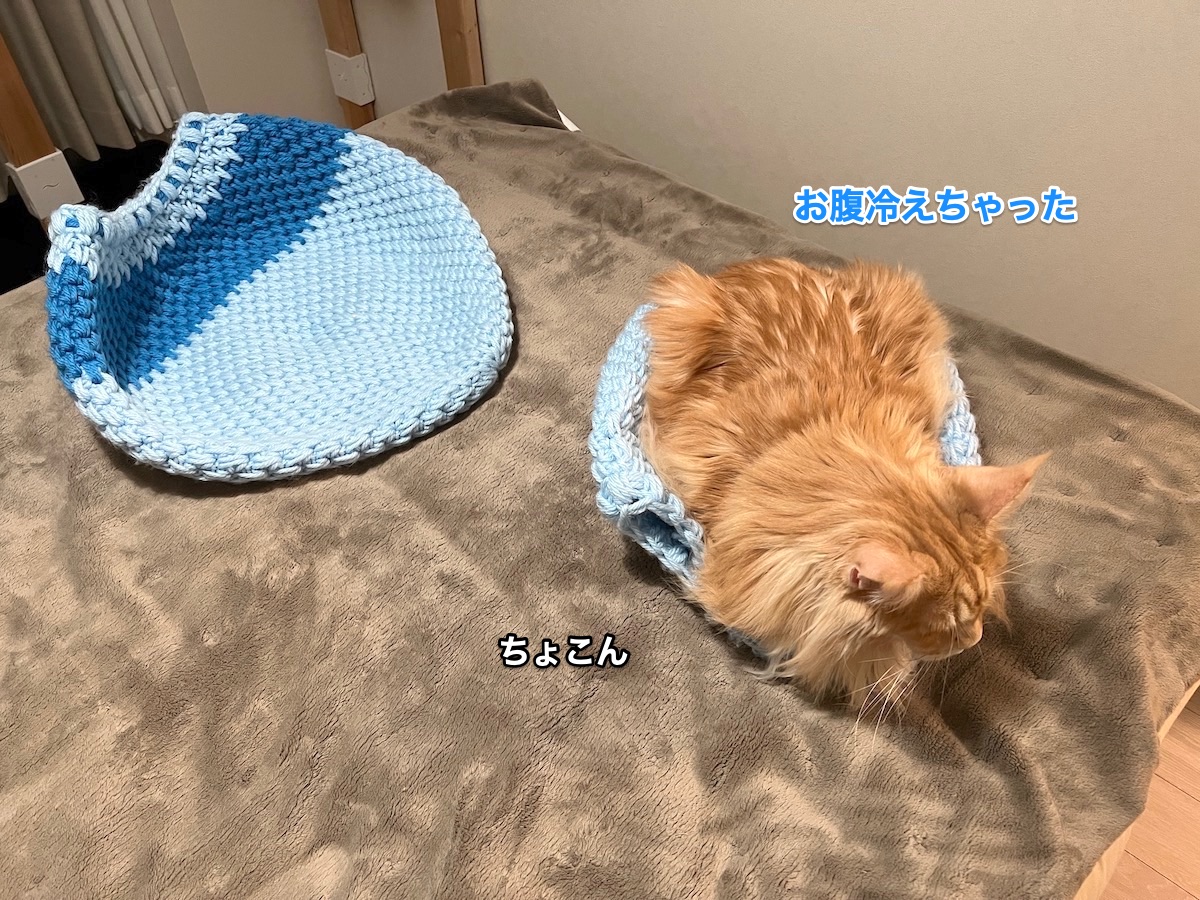 f:id:chikojirou:20211220214005j:plain