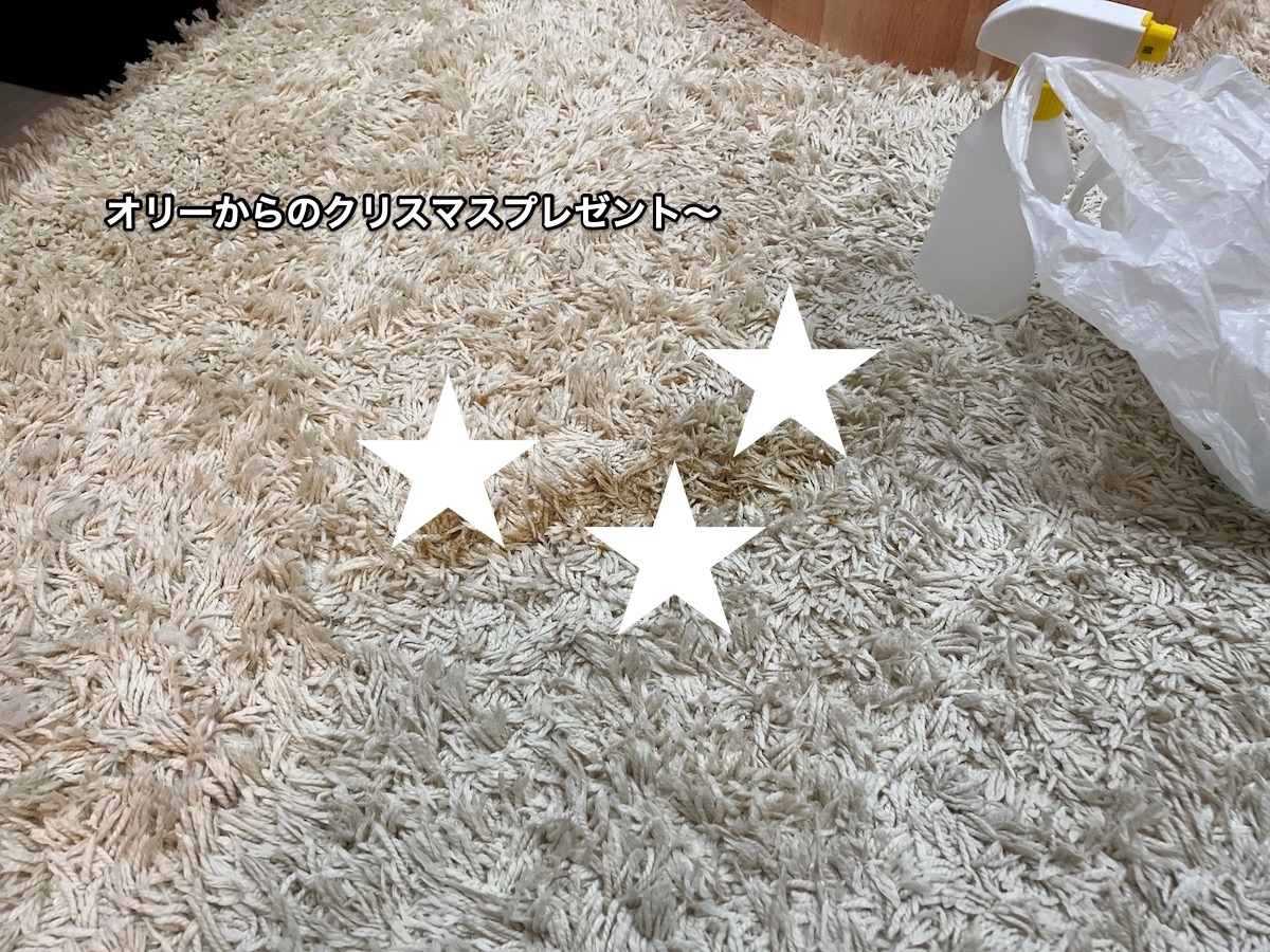 f:id:chikojirou:20211225205802j:plain