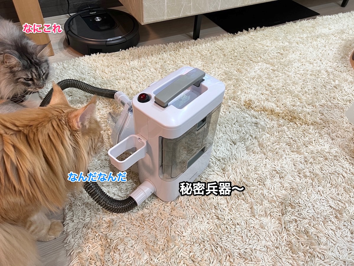 f:id:chikojirou:20211225205805j:plain