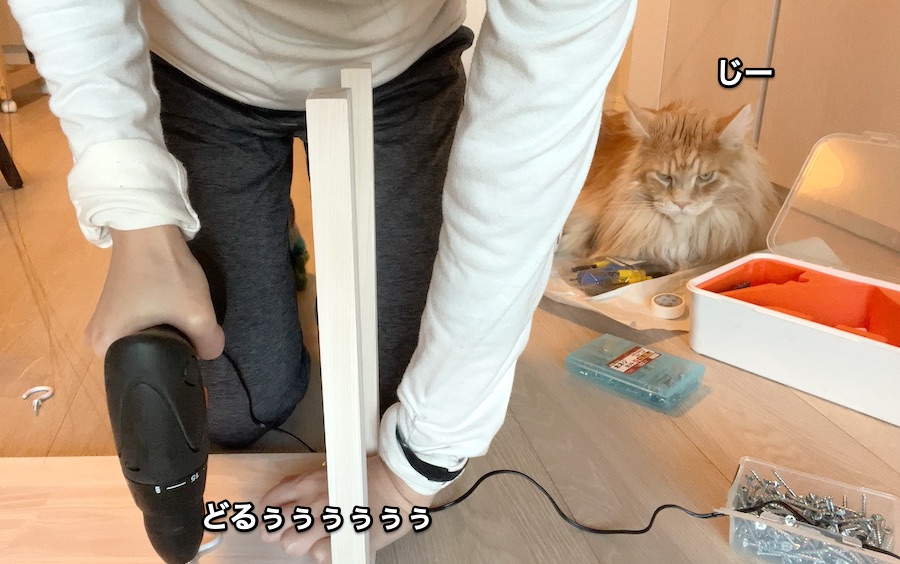 f:id:chikojirou:20211230213030j:plain