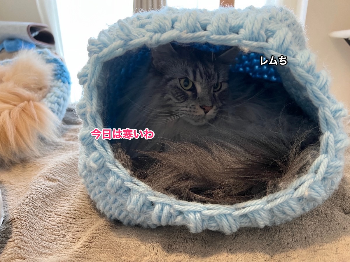 f:id:chikojirou:20220102212509j:plain