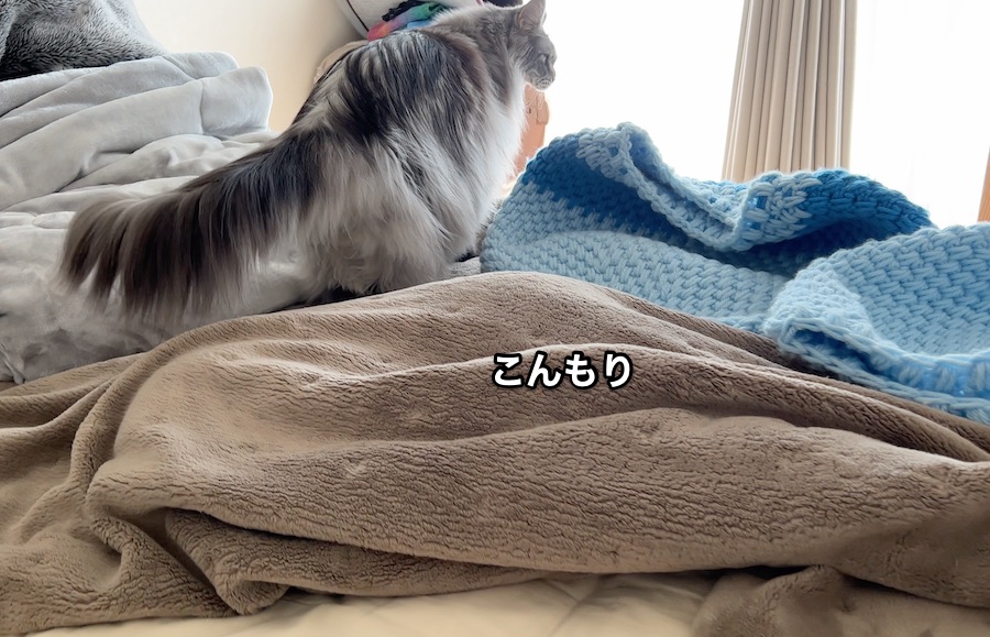 f:id:chikojirou:20220102212525j:plain