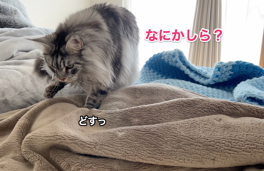 f:id:chikojirou:20220102212528j:plain