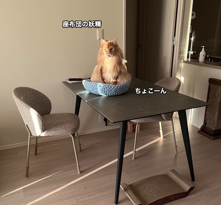 f:id:chikojirou:20220105222729j:plain