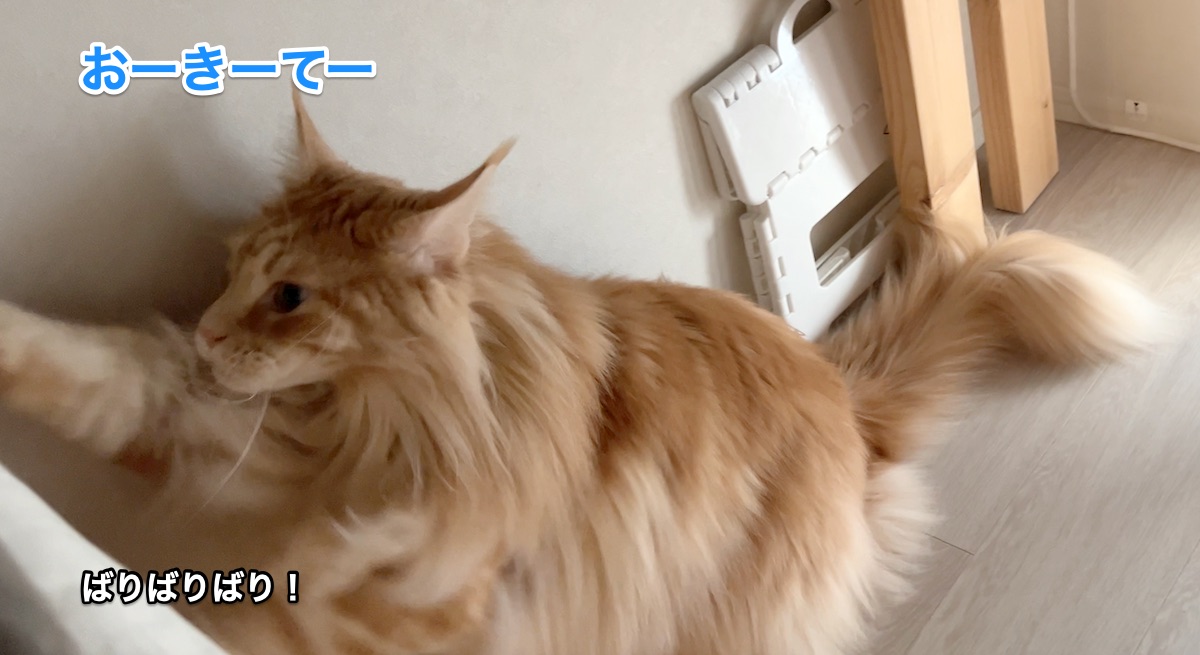 f:id:chikojirou:20220105222747j:plain