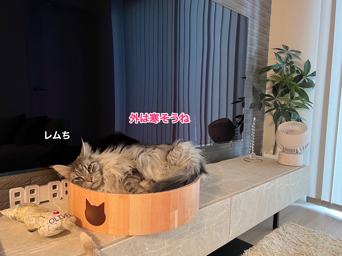 f:id:chikojirou:20220106221423j:plain