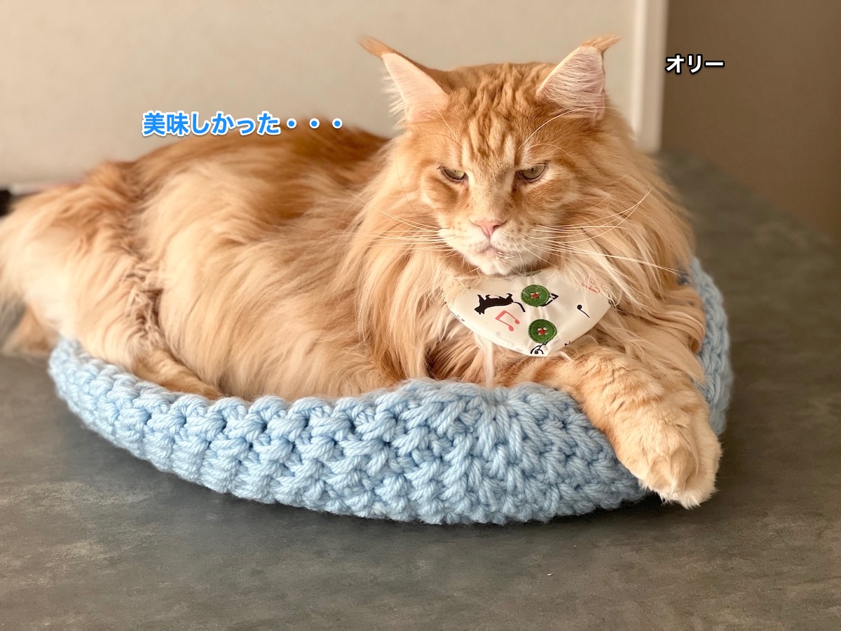 f:id:chikojirou:20220108213737j:plain