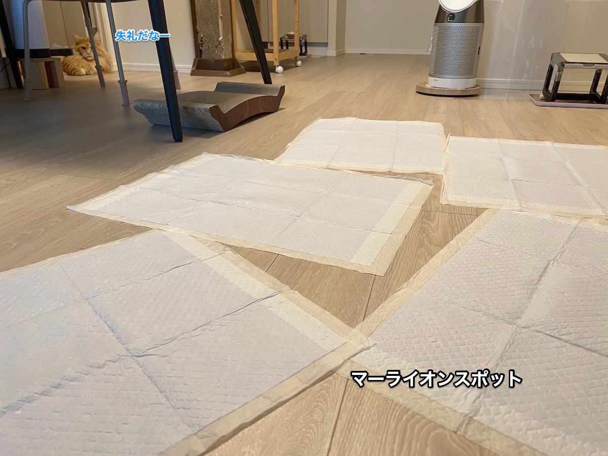f:id:chikojirou:20220111220009j:plain