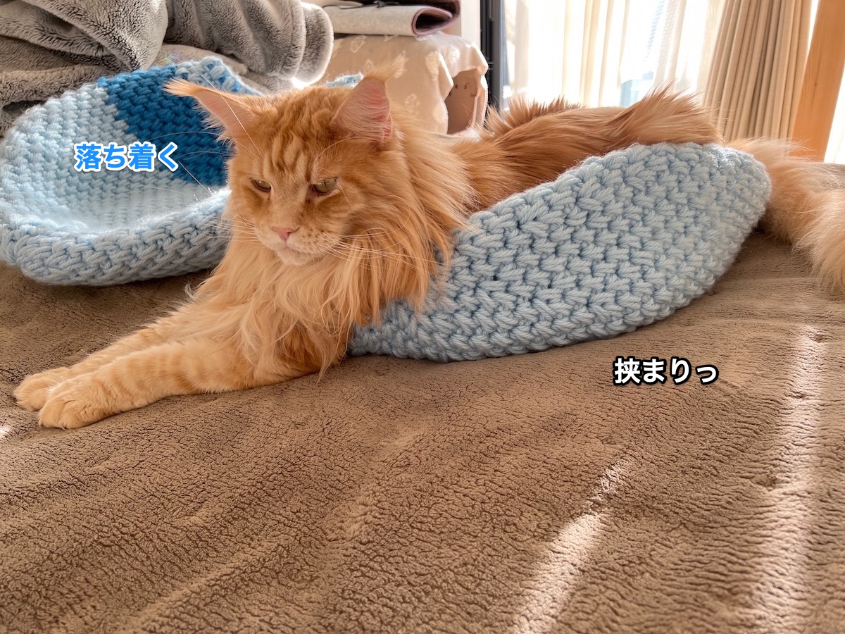 f:id:chikojirou:20220116190145j:plain