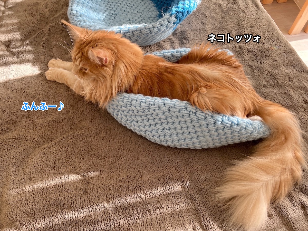 f:id:chikojirou:20220116190148j:plain