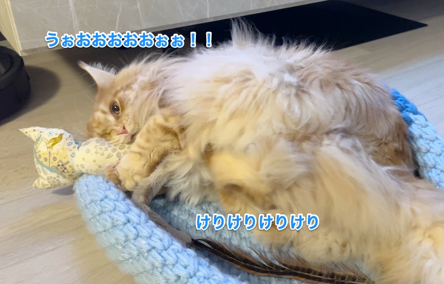 f:id:chikojirou:20220117223530j:plain