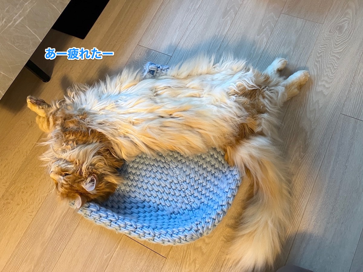 f:id:chikojirou:20220117223533j:plain