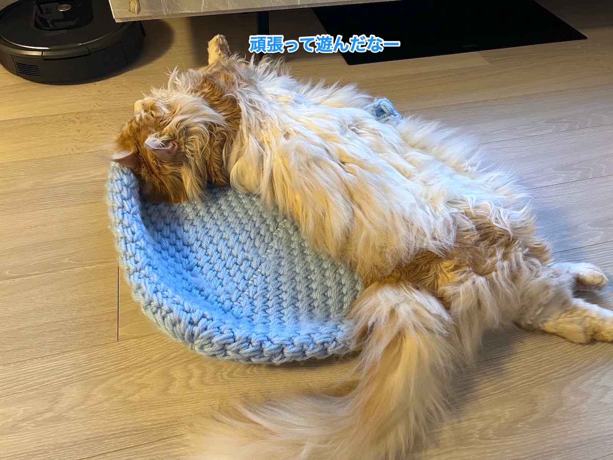 f:id:chikojirou:20220117223536j:plain