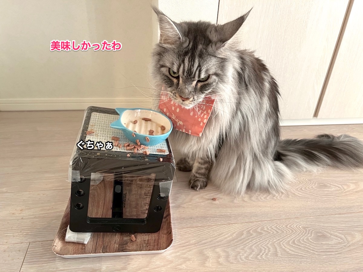 f:id:chikojirou:20220118215801j:plain