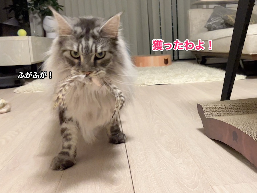 f:id:chikojirou:20220124232121j:plain