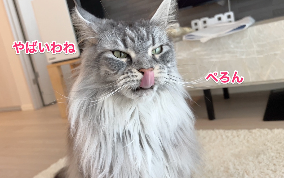 f:id:chikojirou:20220125220125j:plain