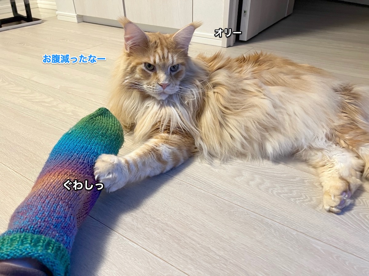 f:id:chikojirou:20220126215716j:plain