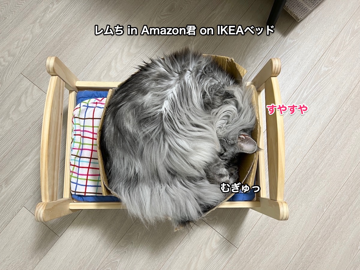 f:id:chikojirou:20220126215721j:plain