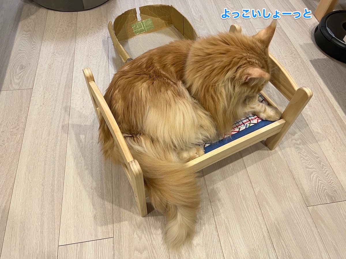f:id:chikojirou:20220128220749j:plain