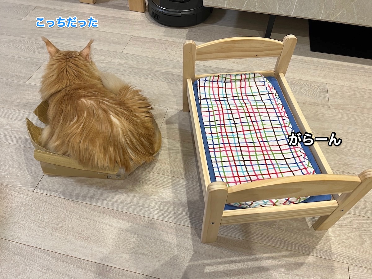 f:id:chikojirou:20220128220759j:plain