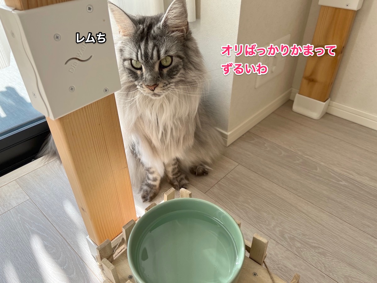 f:id:chikojirou:20220201220412j:plain
