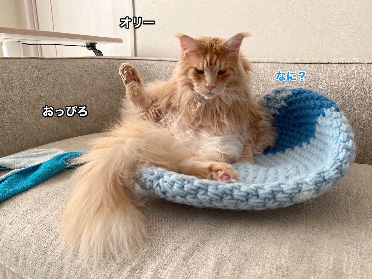 f:id:chikojirou:20220202212757j:plain