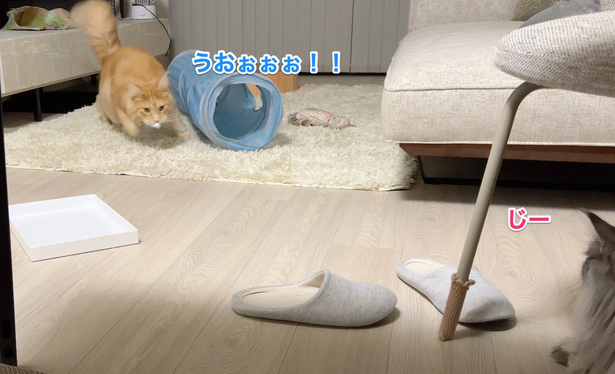 f:id:chikojirou:20220204215528j:plain