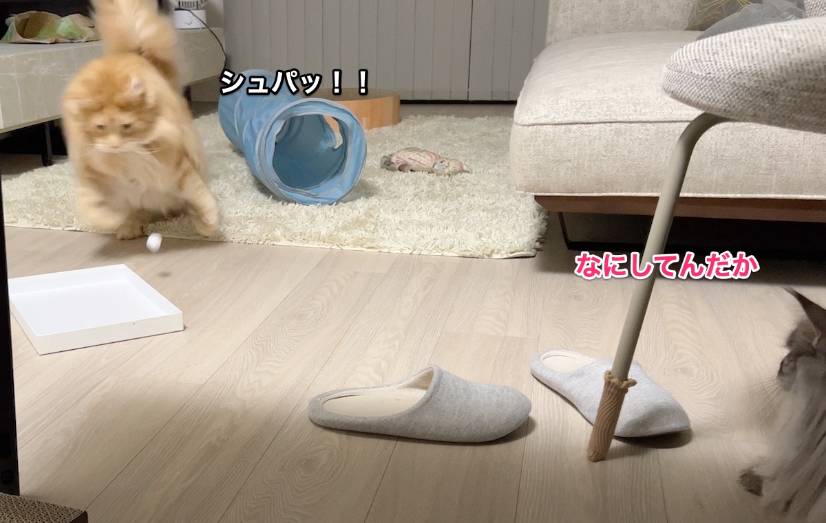 f:id:chikojirou:20220204215531j:plain